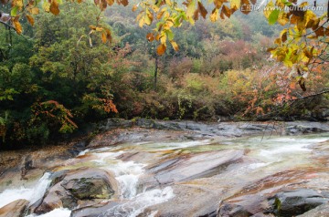 秦岭 黄柏塬 秋天景色