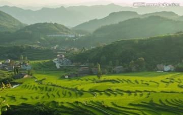 田园风光梯田