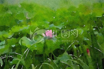 荷塘 水彩寫生
