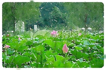 荷花池塘 裝飾水彩畫