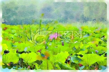 荷塘蓮葉 水彩畫