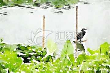 荷塘水鳥(niǎo) 水彩畫(huà)