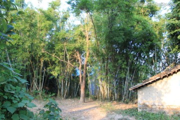 那梭平木村中大村组