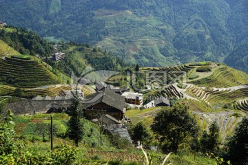 龙脊梯田