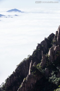 西海大峡谷 竖片 云海苍茫