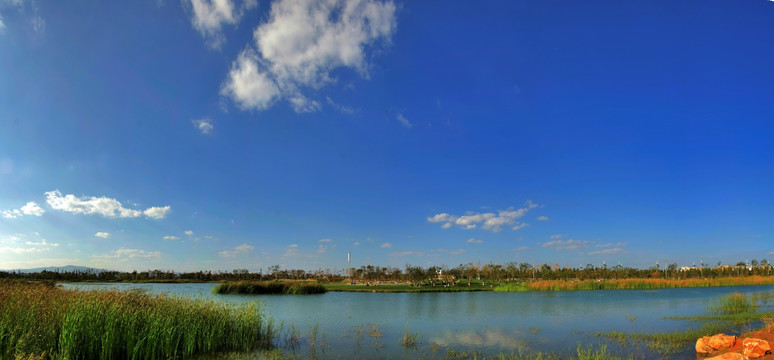 滇池湿地