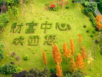 重庆财富中心 园林绿化景观