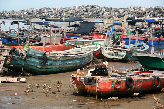 渔船 海滩 滩涂 沙滩 海湾