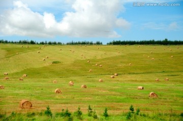 内蒙古草原风光 山坡草捆