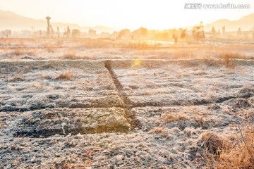 晨曦中农田里霜满地