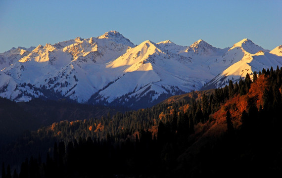 天山 雪山