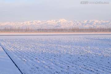 雪景