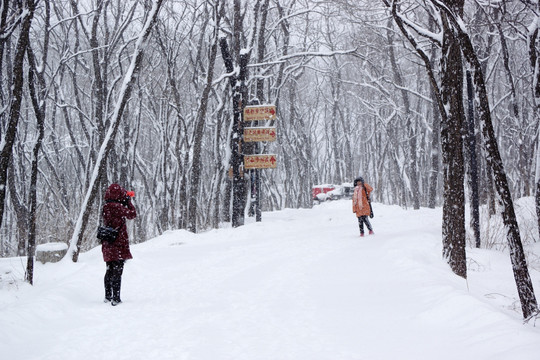 雪中风景