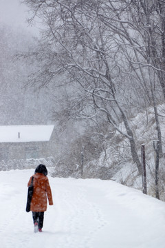 树林 雪景 美女