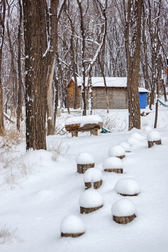 雪 休闲娱乐区