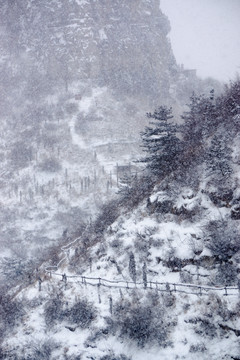 仰天山摩云崮雪景