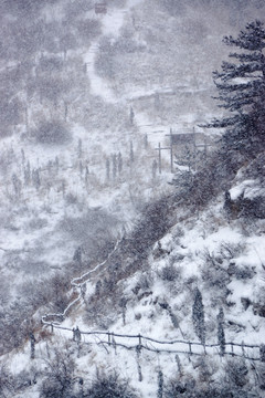 仰天山摩云崮雪景