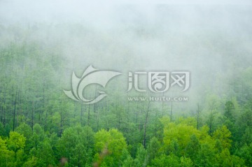 林间雨雾
