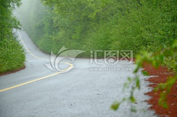 弯曲的柏油路