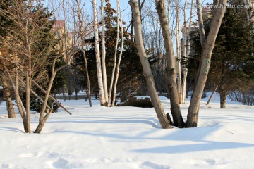 别墅 冬天 雪景