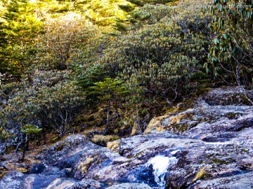 高山溪流