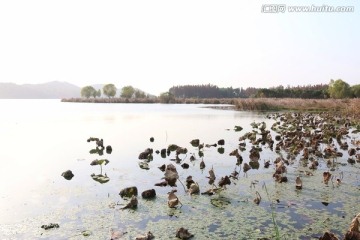 东湖风景