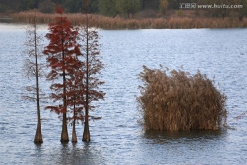 东湖风景