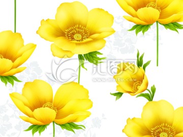 花紋