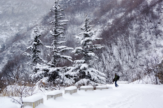 雪中仰天山