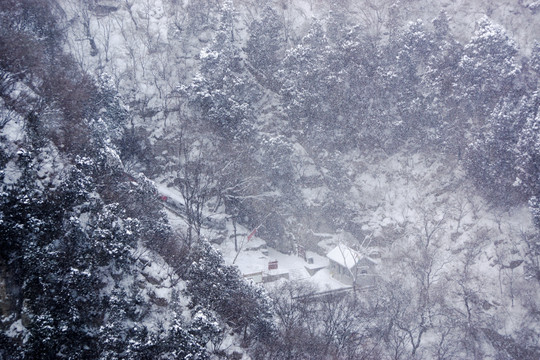 雪中仰天山