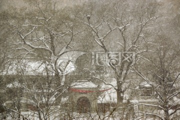 雪 树枝 寺院