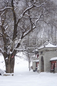 雪景仰天山