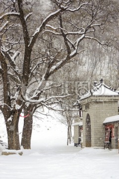 仰天山雪景