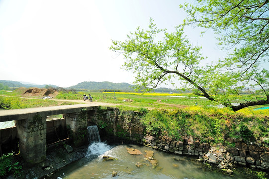 中国江南田园风光