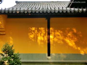 黄色寺庙墙壁上的树影