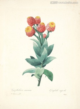 裝飾手繪花掛畫(huà)
