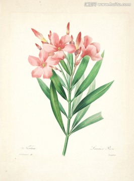 裝飾手繪花掛畫(huà)