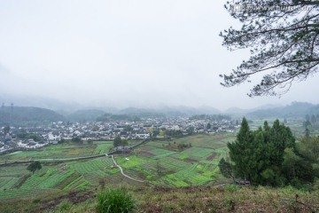 远眺西递村全景