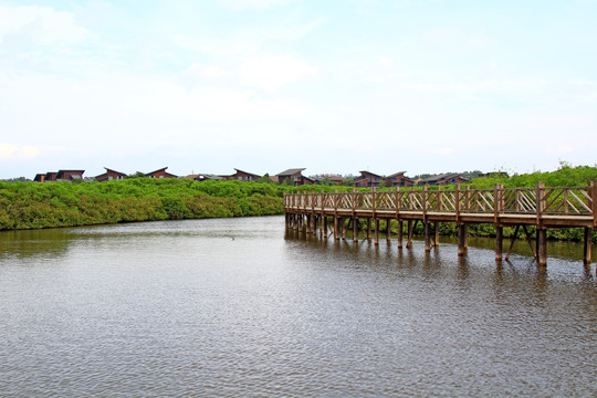 湿地公园栈道