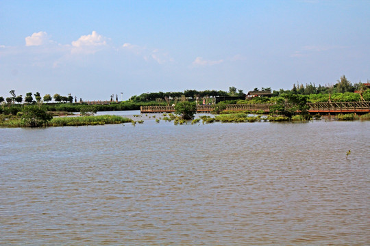 富力湾湿地公园