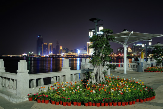 中国福建厦门夜景 鼓浪屿花坛