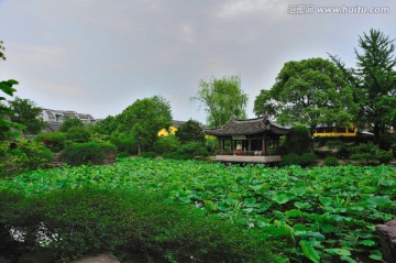 浙江绍兴爱情名园沈园夏雨欲来