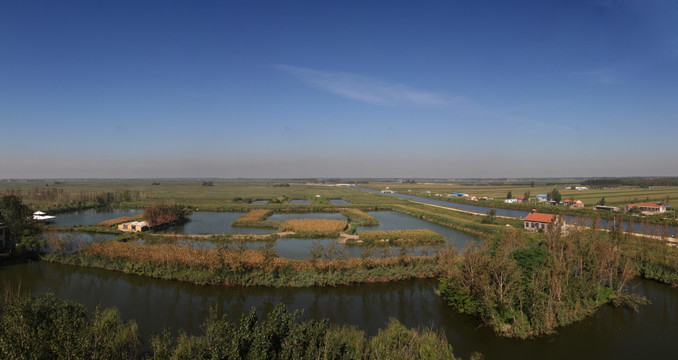 马踏湖湿地