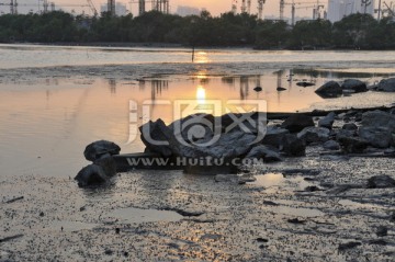 深圳湾海岸线