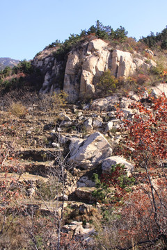 山区风景 山石