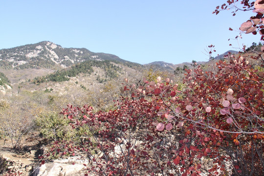 山景 山区 山石