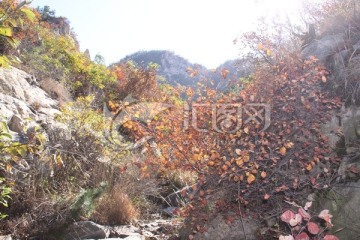 山中风景 大山秋景