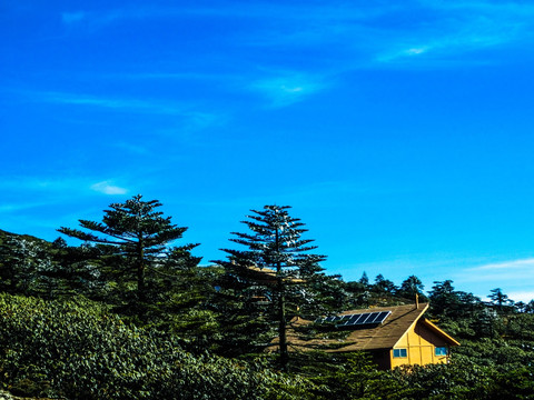 高山木屋