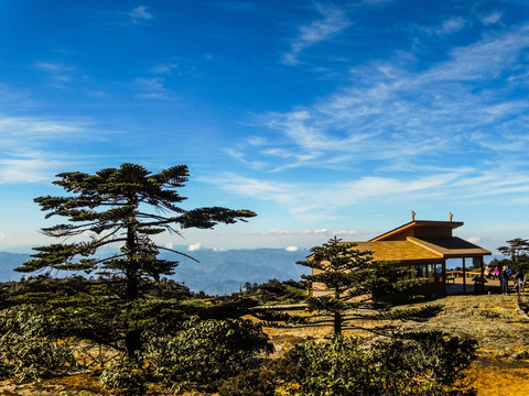 高山木屋