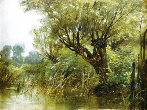 柳樹池塘風景油畫